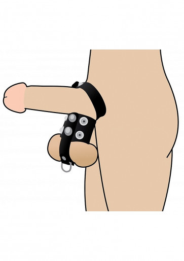 Anello Fallico - Penis Strap and Ball Stretcher