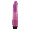 Vibratore Realistico - Jelly Purple Vibrator